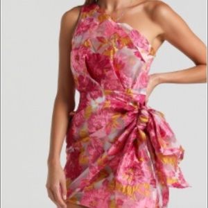 Showpo Brailey Dress